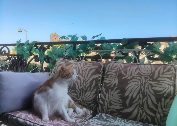 Entre Et Riviere * Agde