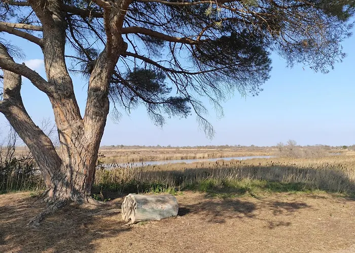 Entre Et Riviere Apartment *