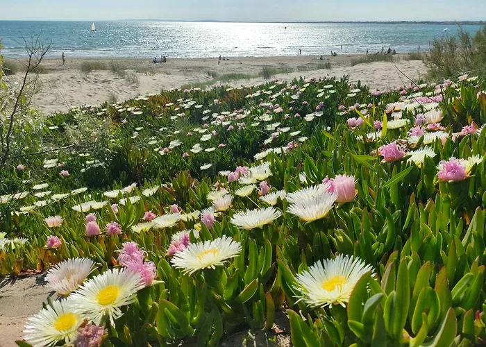 Entre Et Riviere * Agde